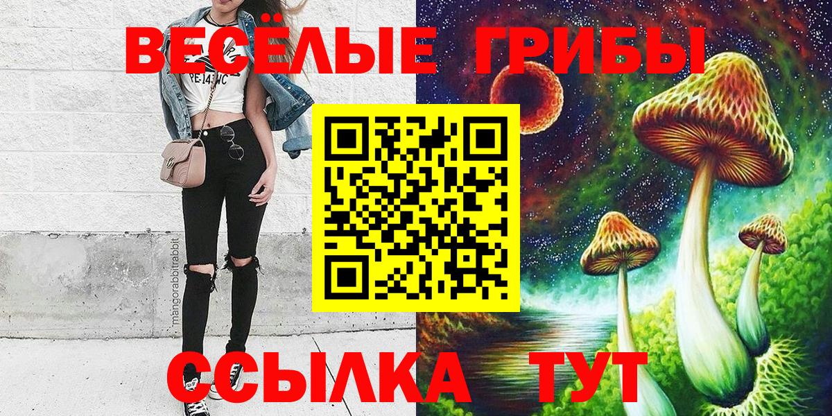 Рассказово  Галлюциногенные грибы Psilocybe  Галлюциногенные грибы Cubensis  Вход с VPN 
